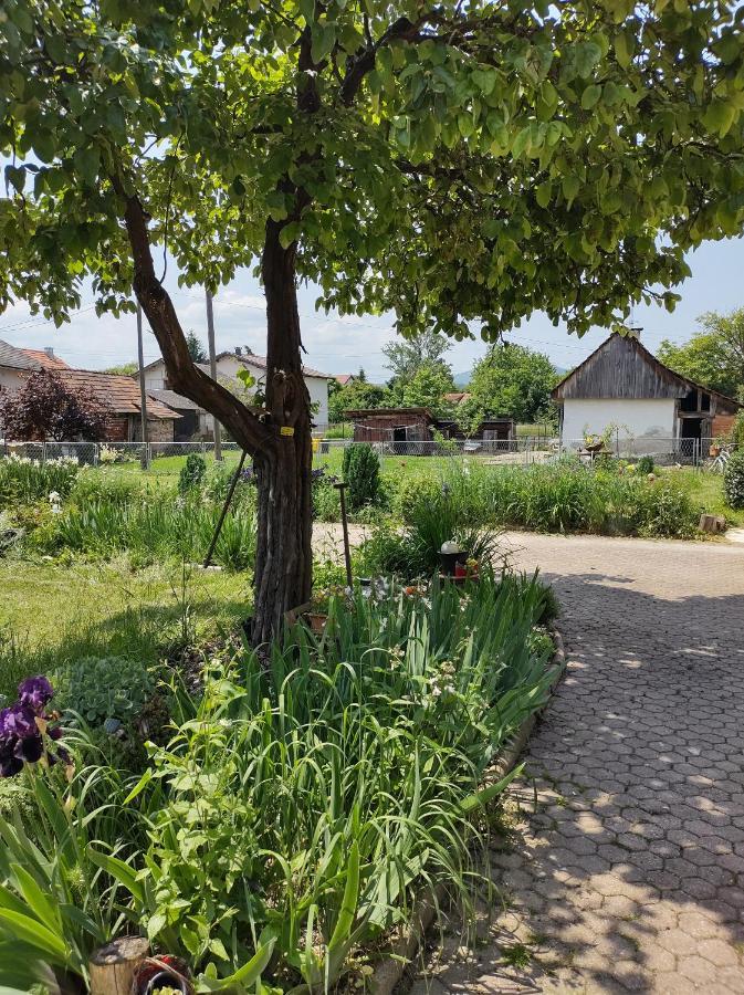 Villa Drenje Kljuc Brdovecki Kültér fotó
