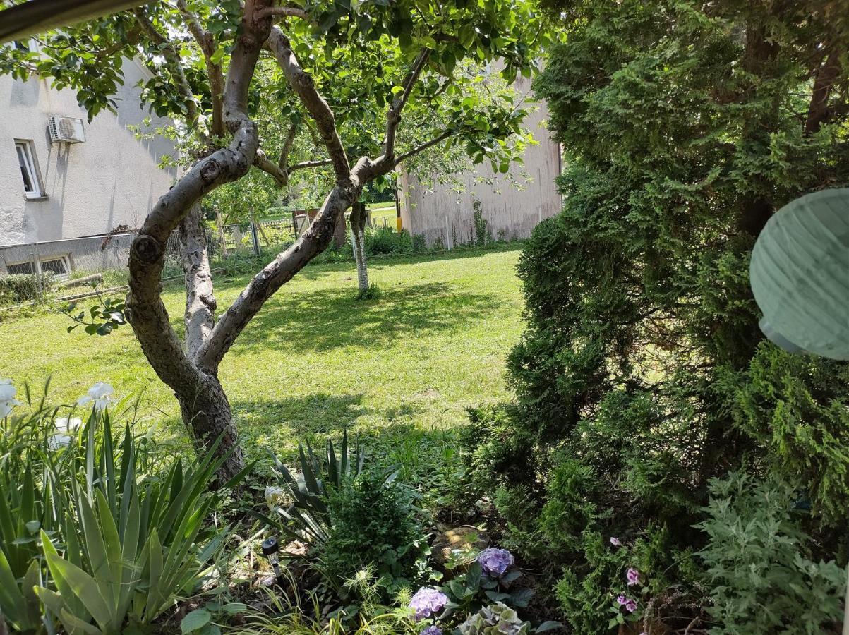 Villa Drenje Kljuc Brdovecki Kültér fotó