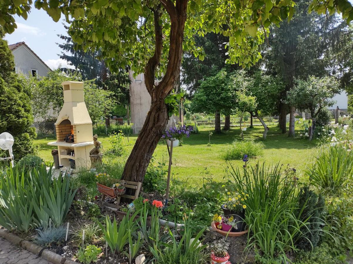 Villa Drenje Kljuc Brdovecki Kültér fotó